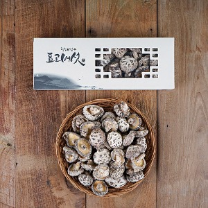 오직 참나무재배표고버섯
